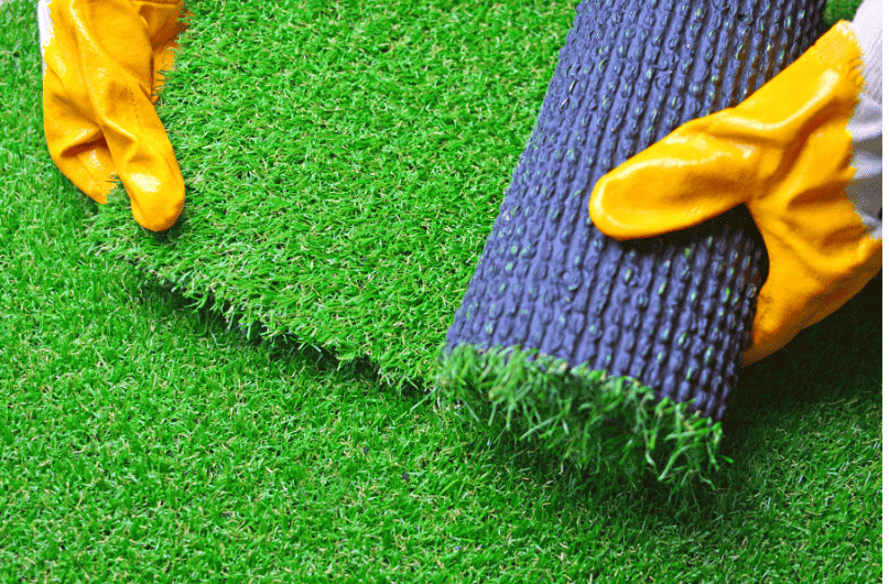 how to choose quality turf in New Zealand