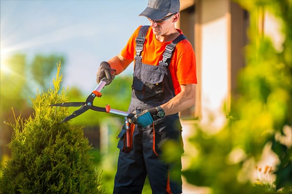 garden maintenace new zealand