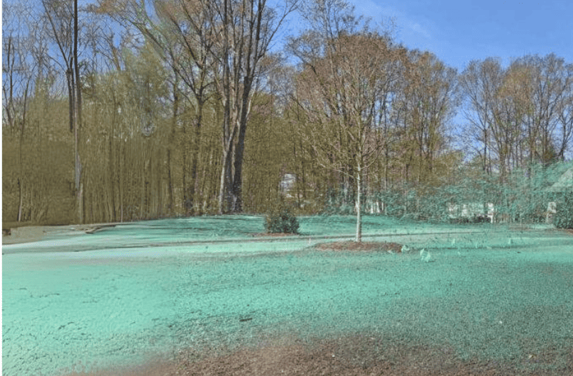 Hydroseeding process