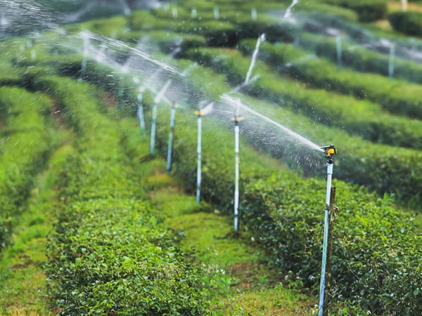 irrigation systems nz