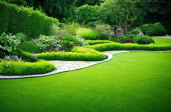 landscaping services auckland