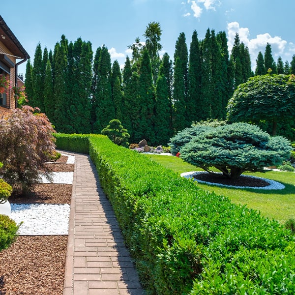New Plymouth landscaping companies