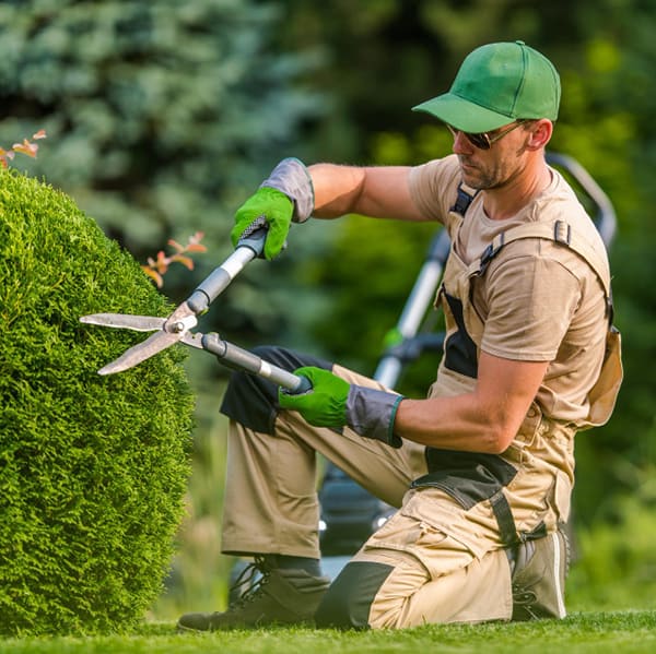 landscapers new zealand