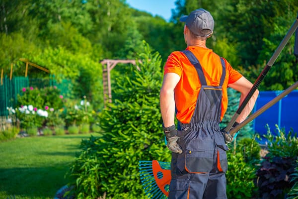 landscaping company in new zealand